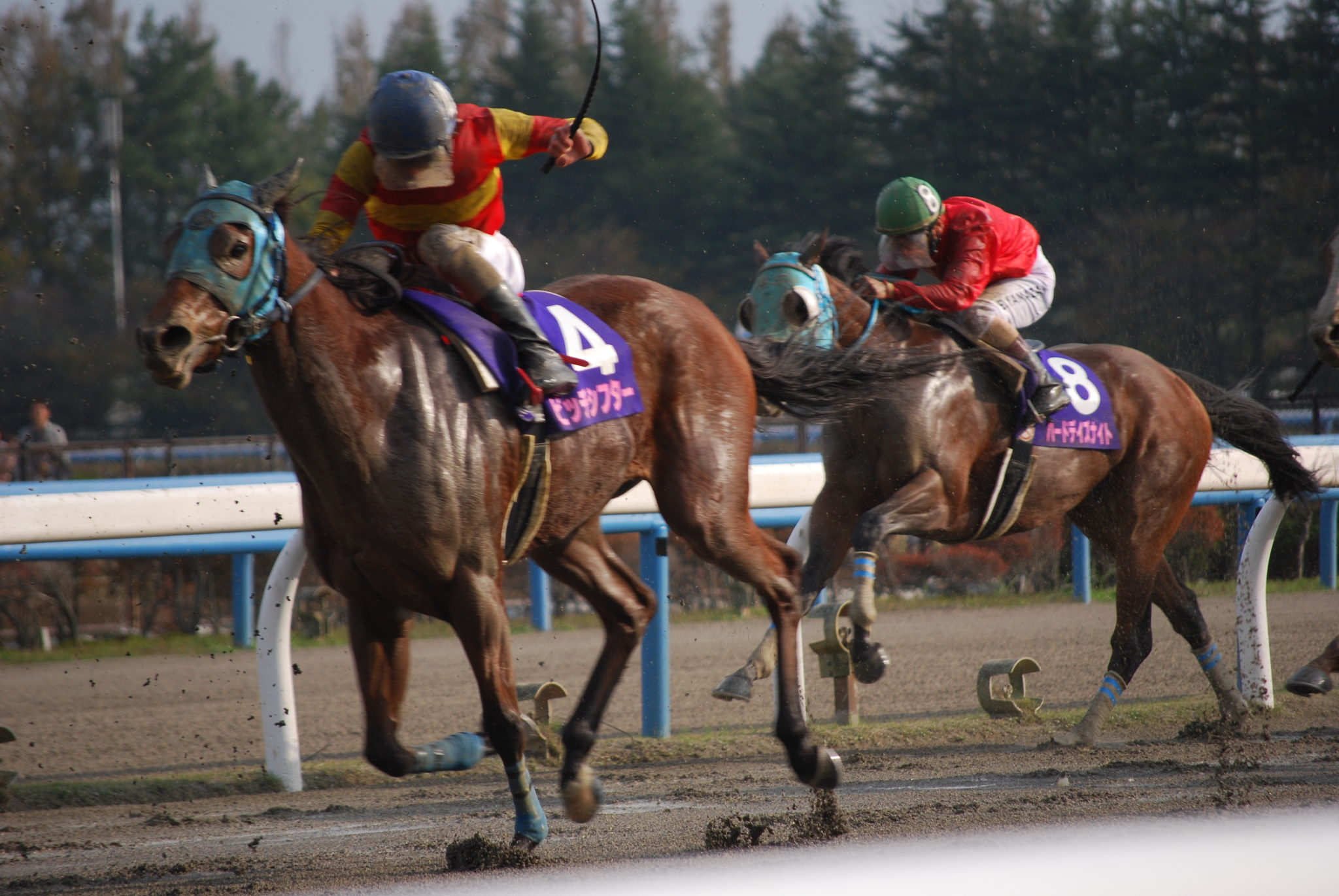 ロングヒットのデータ競馬 | キーンランドカップ、新潟2歳 ...